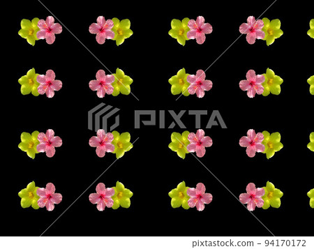 夏季/芙蓉花 夏季/芙蓉花 94170172