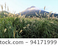 Pampas grass illuminated by the setting sun and Mt. Yufu covered by clouds (October) 94171999