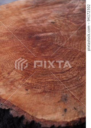 Sliced log Annual rings Sliced log Annual rings 94172302