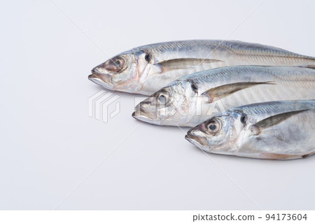 Horse mackerel 94173604