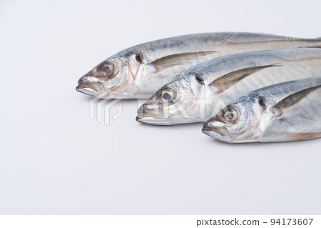 Horse mackerel Horse mackerel 94173607