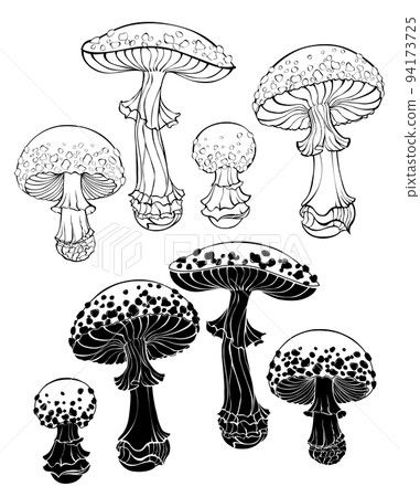 Outline fly agaric Outline fly agaric 94173725