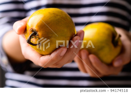 Canistel fruit or Eggfruit holding by woman hand, Tropical fruit 94174518