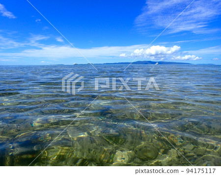 夏天的大崎海灘 夏天的大崎海灘 94175117