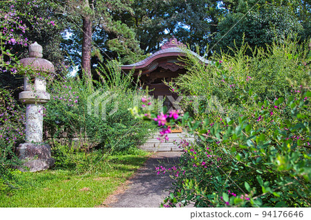 Shonenji Temple - Hagi 94176646