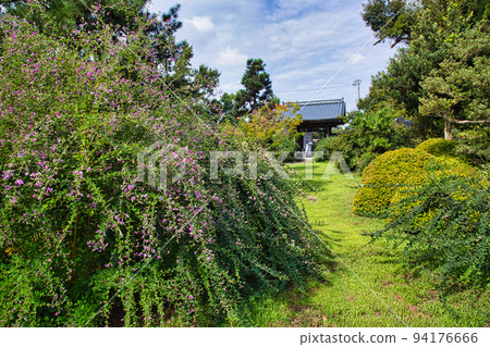 Shonenji Temple - Hagi 94176666