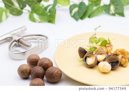盤子上的帶殼澳洲堅果和核桃 94177349