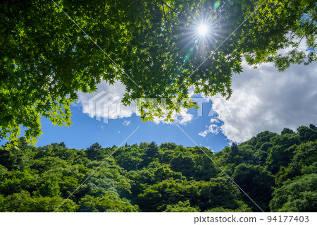 陽光的光 陽光的光 94177403