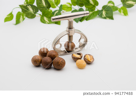 澳洲堅果殼和堅果餅乾 94177488