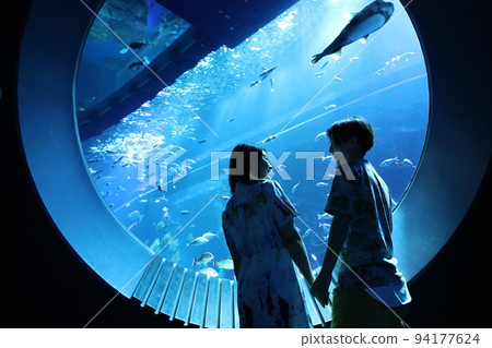 水族館日期 94177624