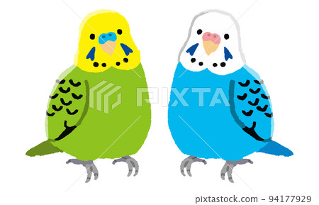 Budgerigar male and female 2 birds (hand-painted color) 94177929