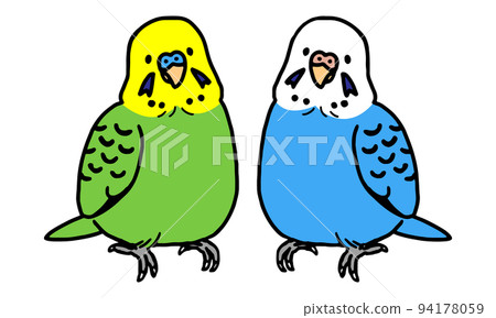 2 male and female budgerigars (simple) 2 male and female budgerigars (simple) 94178059