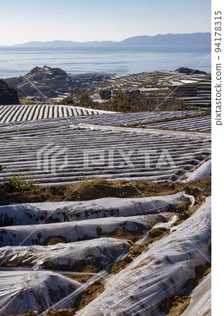 Terraced fields in Minamikushiyama Town [Minamikushiyama Town, Unzen City, Nagasaki Prefecture] 94178315