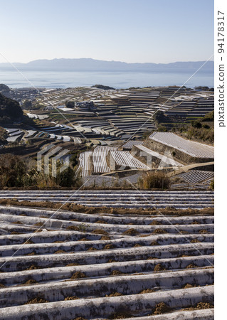 Terraced fields in Minamikushiyama Town [Minamikushiyama Town, Unzen City, Nagasaki Prefecture] 94178317