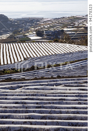 Terraced fields in Minamikushiyama Town [Minamikushiyama Town, Unzen City, Nagasaki Prefecture] 94178323