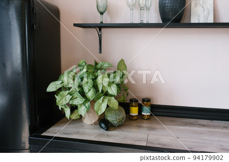Indoor plant as a decor in the kitchen or dining room Indoor plant as a decor in the kitchen or dining room 94179902