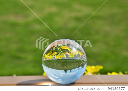 Lensball Yuri no Sato Park 94180377