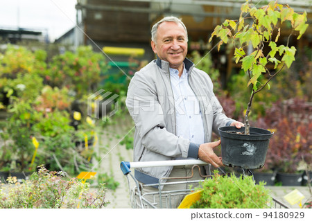 Middle aged man shopping in garden center 94180929