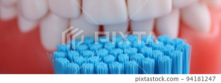 Dental jaw and toothbrush and oral care Dental jaw and toothbrush and oral care 94181247