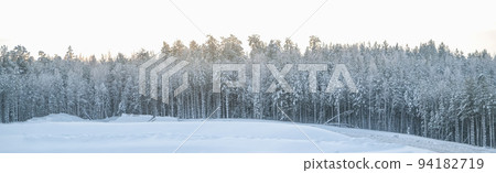 Landscape snowy winter forest. Panoramic view 94182719