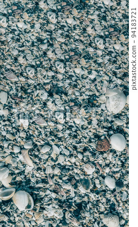 VERTICAL Close-up seashells on beach sand summer day. Abstract ocean background pattern collection 94183721