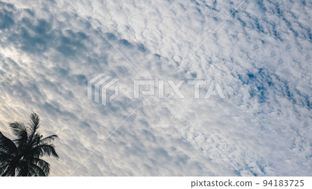 BANNER Atmosphere panorama white cloud sky alone tropical palm background summer tenderness freedom BANNER Atmosphere panorama white cloud sky alone tropical palm background summer tenderness freedom 94183725