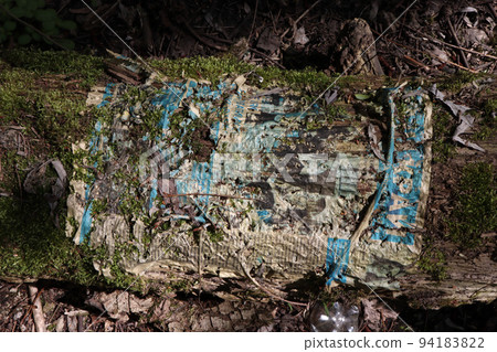 The old newspaper is decomposing, Forest ecology  94183822
