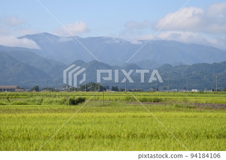 只見線會津高田~根岸JR東日本DE10-1651(郡山)+老顧客重逢,只見線試運行 只見線會津高田~根岸JR東日本DE10-1651(郡山)+老顧客重逢,只見線試運行 94184106
