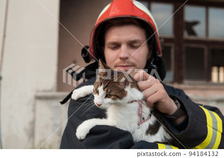 Close-up portrait of heroic fireman in protective suit and red helmet holds saved cat in his arms. Firefighter in fire fighting operation. 94184132