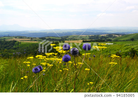 肥後台公園，阿蘇郡產山村的觀光景點，夏末風景 94185005