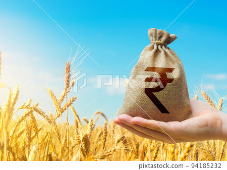 Wheat field and indian rupee money bag. Agroindustry and the agricultural business. World hunger. World food security crisis, high prices. Grains deficits, livestock feed. Starvation and famine 94185232