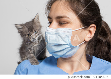 A veterinarian in a protective mask and uniform and a small gray kitten. Hospital for animals, treatment of pets. 94185696