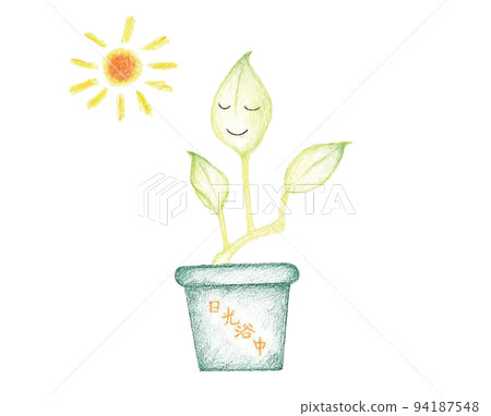 Pothos 2 Pothos 2 94187548