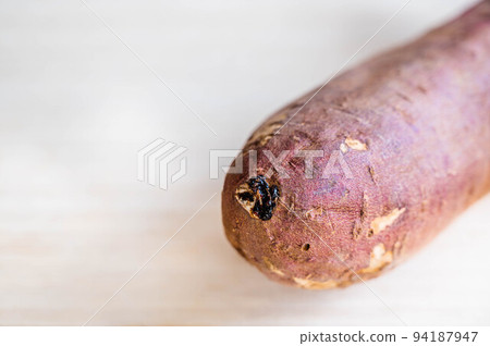 Yarapin attached to sweet potato Yarapin attached to sweet potato 94187947