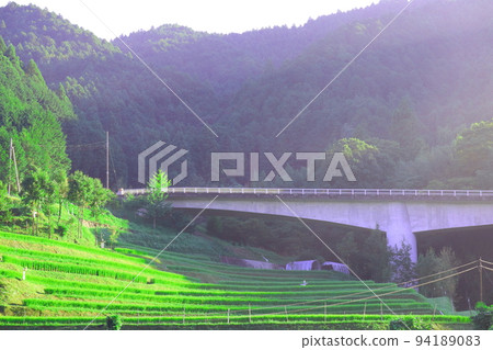 Strong bridge geta crossing rice terraces Strong bridge geta crossing rice terraces 94189083