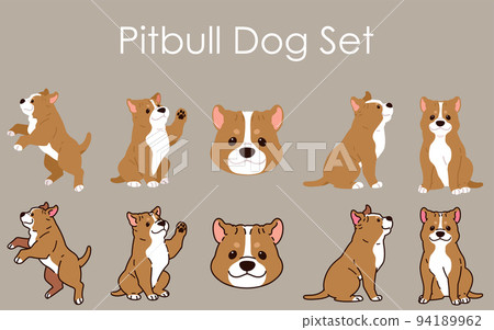 簡單可愛的美國比特犬梗插圖集，帶/不帶主線 94189962
