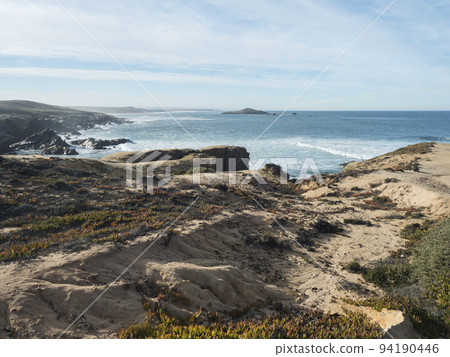 View of the cllifs, rocky sea shore with the red and green leaves of Carpobrotus edulis, ground-creeping succulent plant at wild Vicentina coast in Porto Covo, Portugal. 94190446