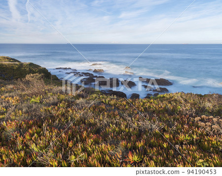 View of the rocky sea shore with long exposure blurred ocean waves with the red and green leaves of Carpobrotus edulis, ground-creeping succulent plant at wild Vicentina coast in Porto Covo, Portugal 94190453