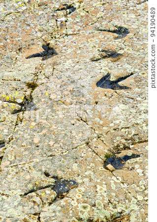 Ichnites Paleontological Deposit of Fuentesalvo, Castile Leon, Spain 94190489