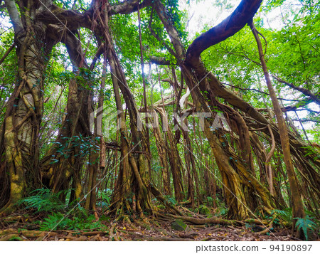 The breath of the earth that feels life The breath of the earth that feels life 94190897