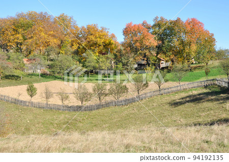 Autumn fall foliage 94192135