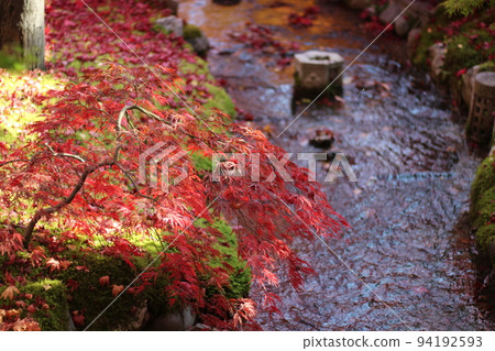 Autumn leaves by the river 94192593