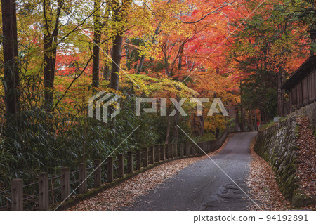 211106 日枝神社 z002 94192891