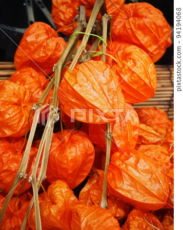 美麗的橙色燈籠 美麗的橙色燈籠 94194068