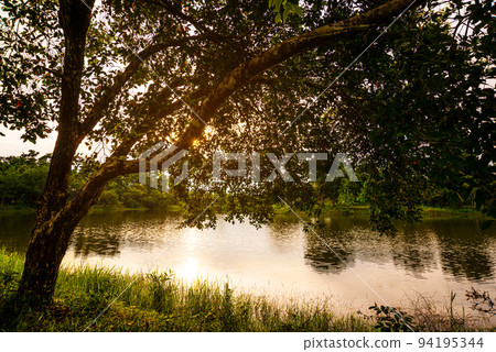 View of landscape nature and river and mountain View of landscape nature and river and mountain 94195344
