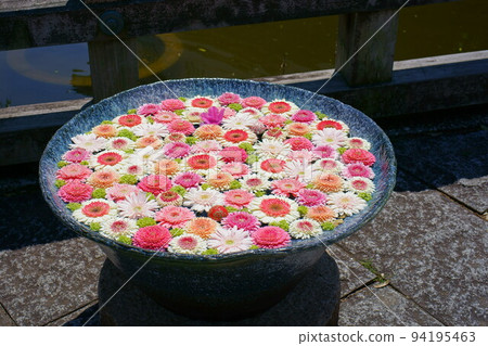 Gyoda Hanatemizu 94195463