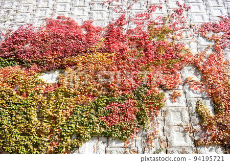 五箇山IC附近的Wall 1 94195721