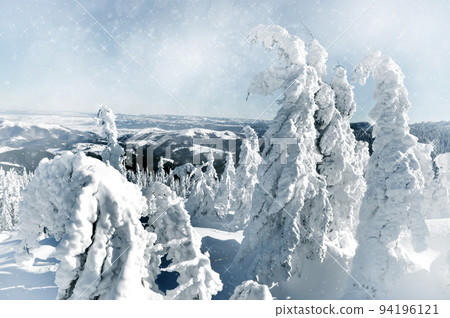 Christmas background with snowy fir trees Christmas background with snowy fir trees 94196121