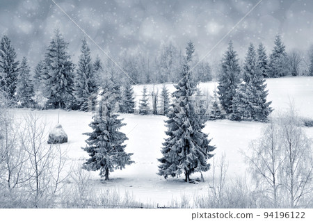 Winter landscape with snowy trees and snowflakes Winter landscape with snowy trees and snowflakes 94196122