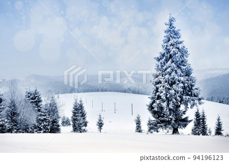Winter landscape with snowy trees and snowflakes Winter landscape with snowy trees and snowflakes 94196123